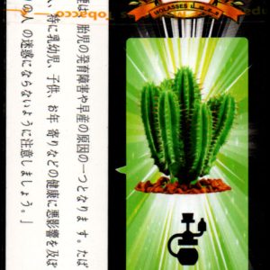 カクタス (Cactus ) Panorama プレミアム パノラマ 水タバコ・バコラシーシャ用フレーバー　50g